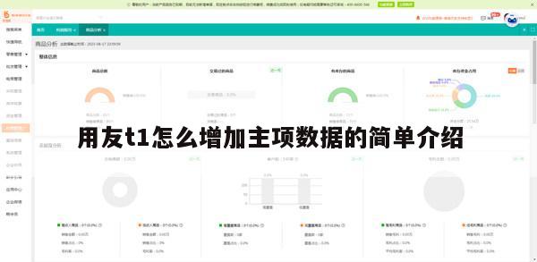 用友t1怎么增加主项数据的简单介绍