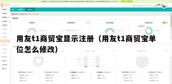 用友t1商贸宝显示注册（用友t1商贸宝单位怎么修改）