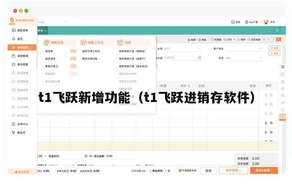 t1飞跃新增功能（t1飞跃进销存软件）