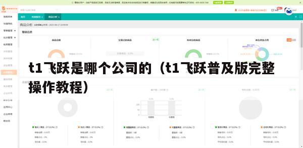 t1飞跃是哪个公司的（t1飞跃普及版完整操作教程）