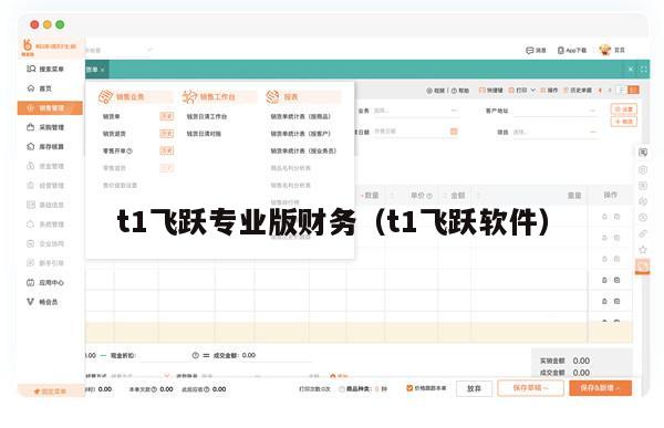 t1飞跃专业版财务（t1飞跃软件）