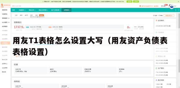 用友T1表格怎么设置大写（用友资产负债表表格设置）