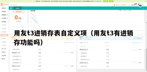 用友t3进销存表自定义项（用友t3有进销存功能吗）