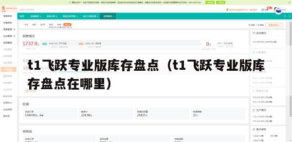 t1飞跃专业版库存盘点（t1飞跃专业版库存盘点在哪里）