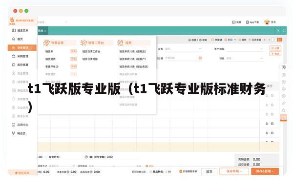 t1飞跃版专业版（t1飞跃专业版标准财务）