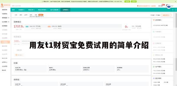 用友t1财贸宝免费试用的简单介绍