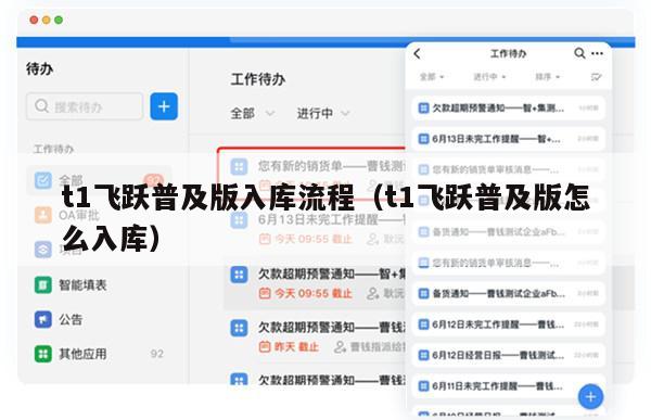t1飞跃普及版入库流程（t1飞跃普及版怎么入库）