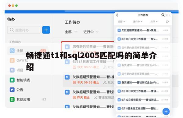 畅捷通t1和sql2005匹配吗的简单介绍