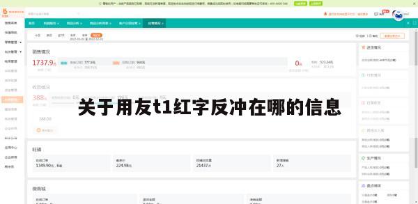 关于用友t1红字反冲在哪的信息