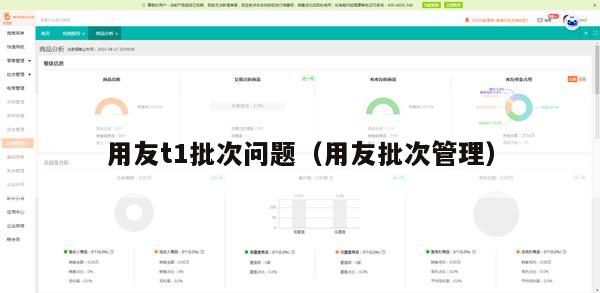 用友t1批次问题（用友批次管理）