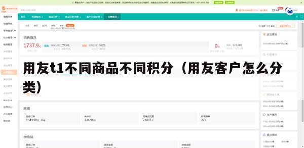 用友t1不同商品不同积分（用友客户怎么分类）