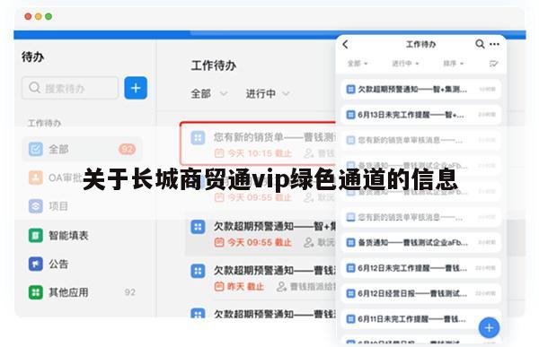 关于长城商贸通vip绿色通道的信息