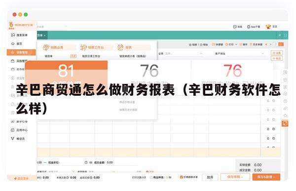 辛巴商贸通怎么做财务报表（辛巴财务软件怎么样）