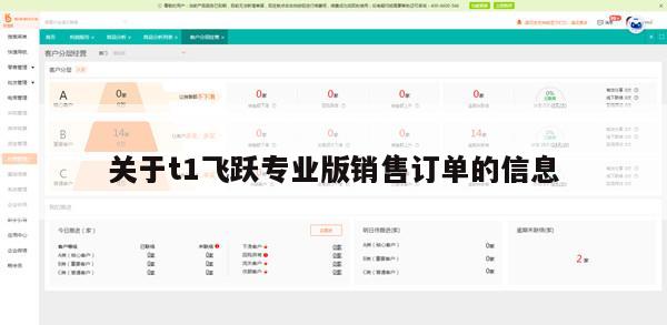 关于t1飞跃专业版销售订单的信息