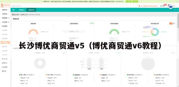 长沙博优商贸通v5（博优商贸通v6教程）