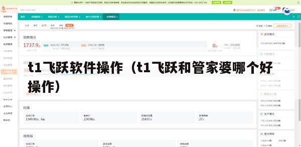 t1飞跃软件操作（t1飞跃和管家婆哪个好操作）