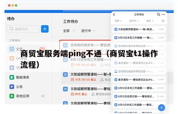 商贸宝服务端ping不通（商贸宝t1操作流程）