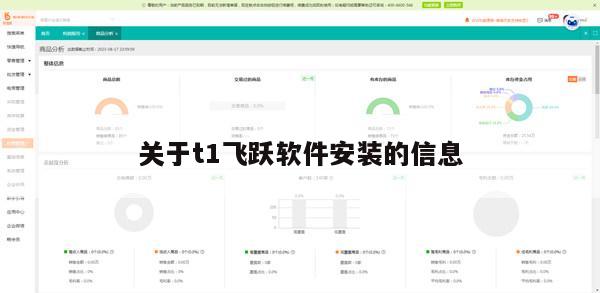 关于t1飞跃软件安装的信息