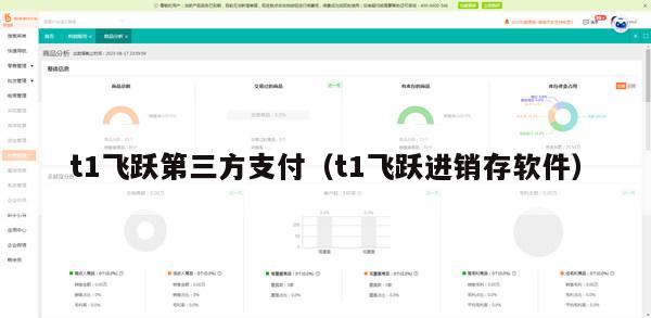 t1飞跃第三方支付（t1飞跃进销存软件）