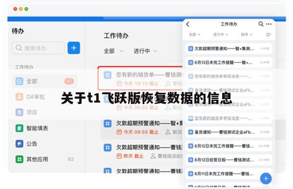 关于t1飞跃版恢复数据的信息