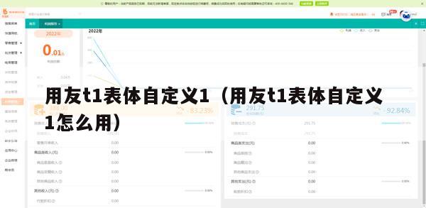 用友t1表体自定义1（用友t1表体自定义1怎么用）