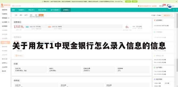 关于用友T1中现金银行怎么录入信息的信息