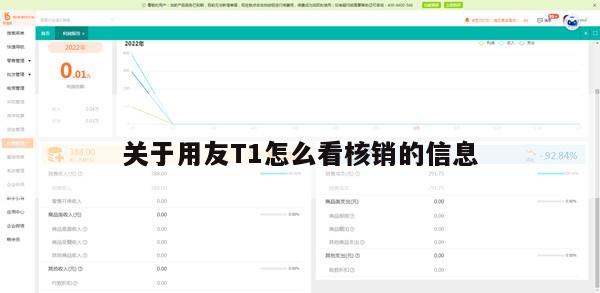 关于用友T1怎么看核销的信息