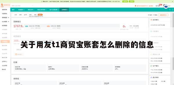 关于用友t1商贸宝账套怎么删除的信息