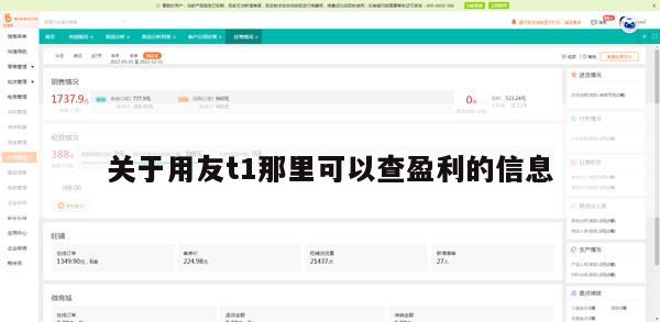 关于用友t1那里可以查盈利的信息