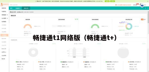 畅捷通t1网络版（畅捷通t+）
