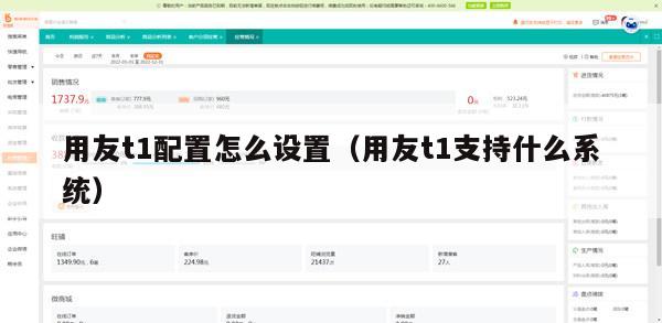 用友t1配置怎么设置（用友t1支持什么系统）