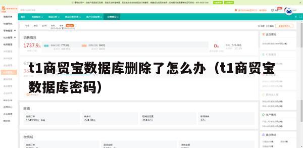 t1商贸宝数据库删除了怎么办（t1商贸宝数据库密码）