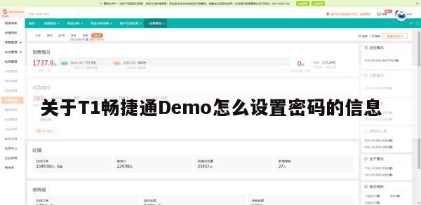 关于T1畅捷通Demo怎么设置密码的信息