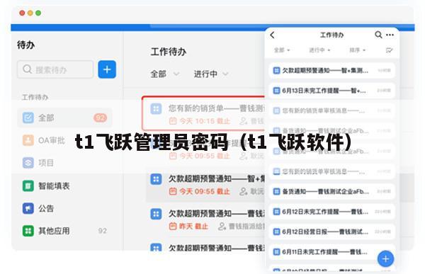 t1飞跃管理员密码（t1飞跃软件）