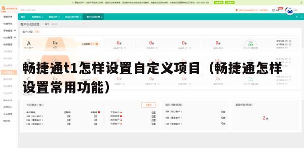 畅捷通t1怎样设置自定义项目（畅捷通怎样设置常用功能）