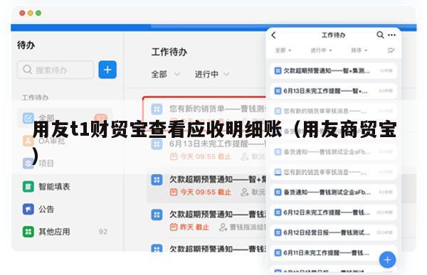 用友t1财贸宝查看应收明细账（用友商贸宝）