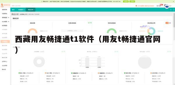 西藏用友畅捷通t1软件（用友t畅捷通官网）