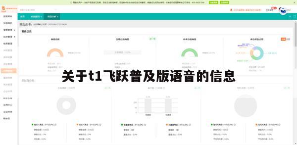 关于t1飞跃普及版语音的信息