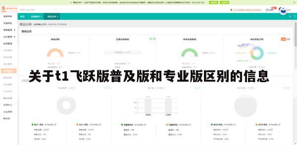 关于t1飞跃版普及版和专业版区别的信息