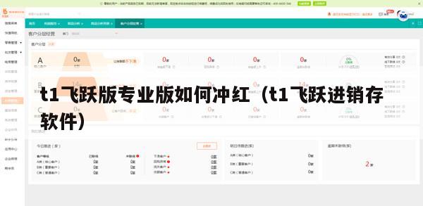 t1飞跃版专业版如何冲红（t1飞跃进销存软件）