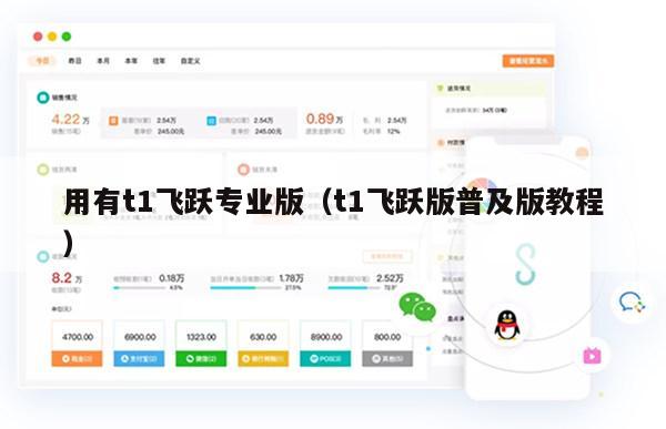 用有t1飞跃专业版（t1飞跃版普及版教程）