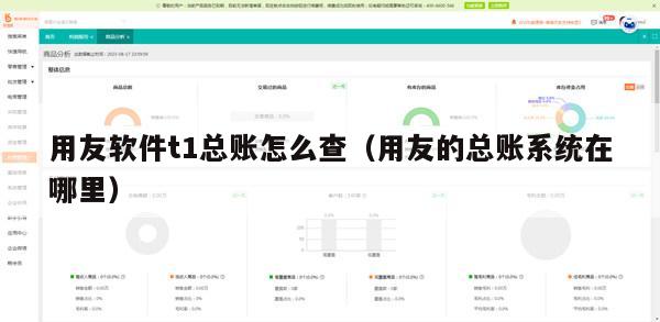 用友软件t1总账怎么查（用友的总账系统在哪里）