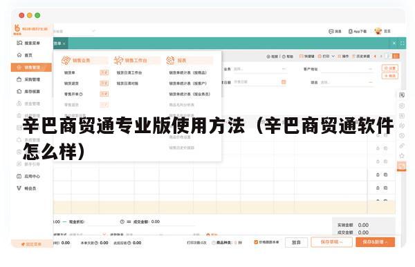 辛巴商贸通专业版使用方法（辛巴商贸通软件怎么样）