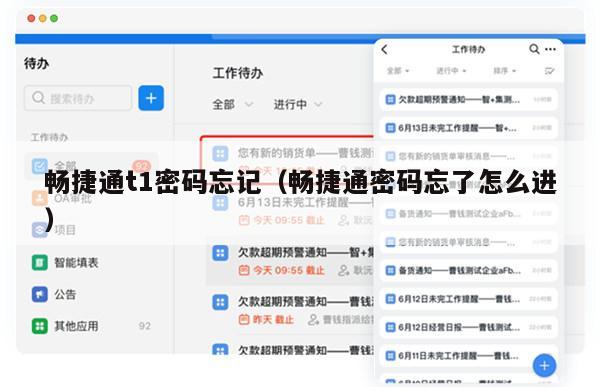 畅捷通t1密码忘记（畅捷通密码忘了怎么进）