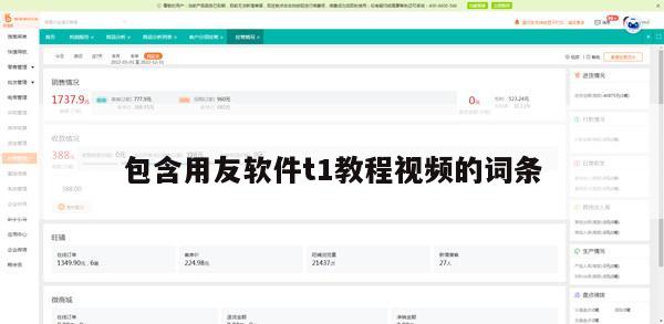 包含用友软件t1教程视频的词条