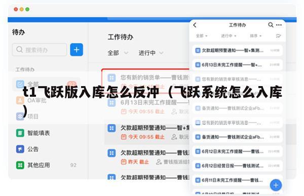 t1飞跃版入库怎么反冲（飞跃系统怎么入库）