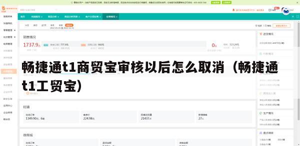 畅捷通t1商贸宝审核以后怎么取消（畅捷通t1工贸宝）