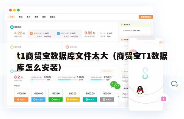 t1商贸宝数据库文件太大（商贸宝T1数据库怎么安装）