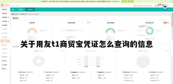 关于用友t1商贸宝凭证怎么查询的信息