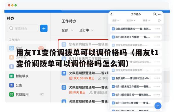 用友T1变价调拨单可以调价格吗（用友t1变价调拨单可以调价格吗怎么调）